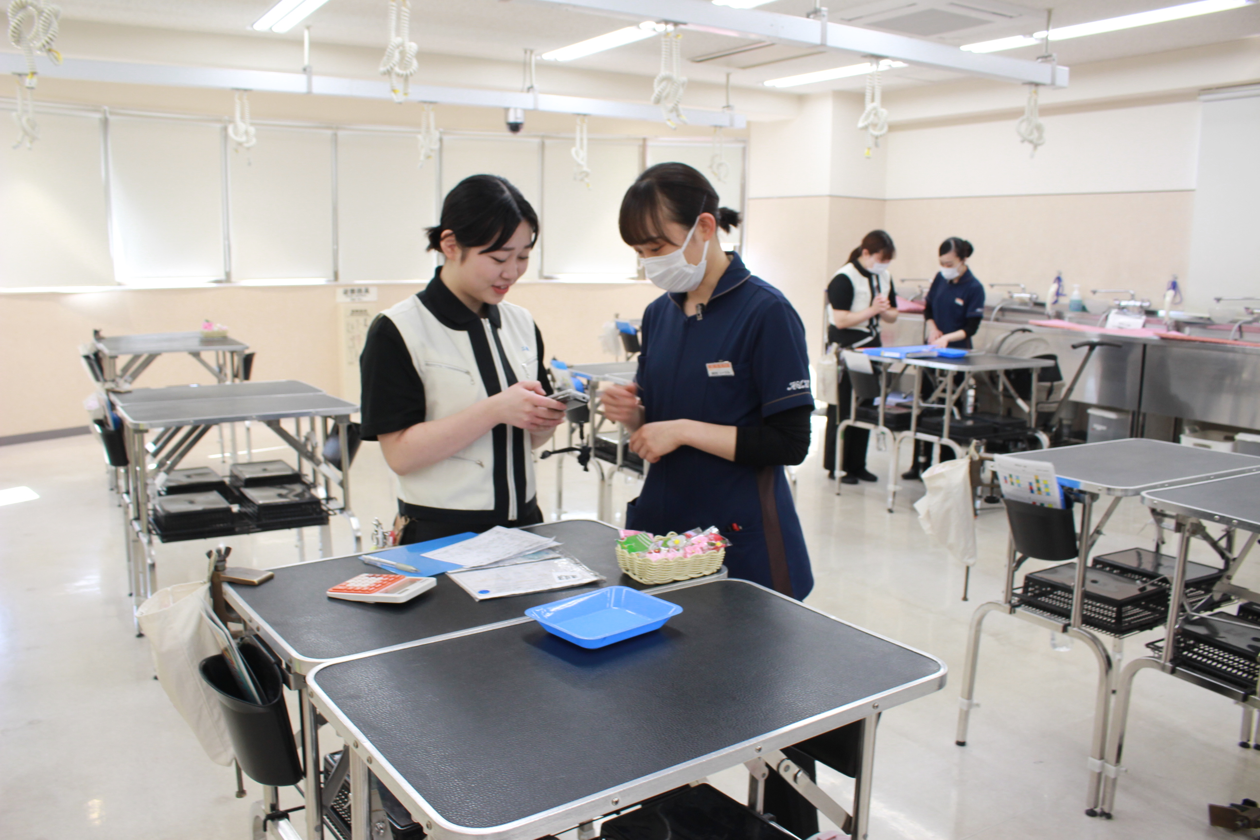新2年生のトリミングが始まりました☆